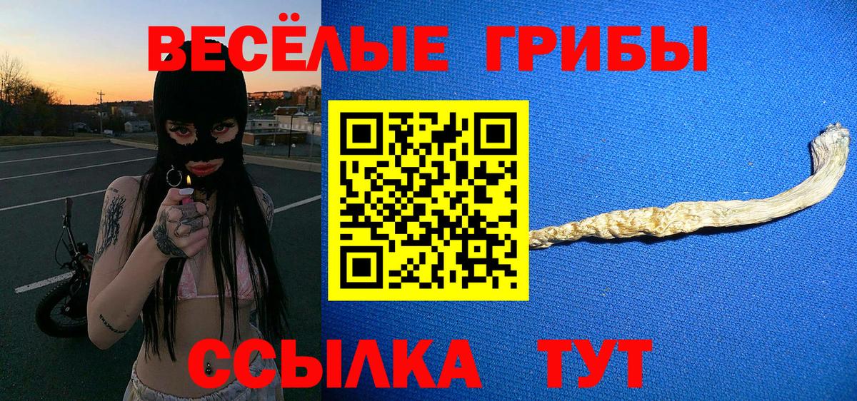 купить закладку  Вход с VPN  Галлюциногенные грибы GOLDEN TEACHER  Сарапул  Галлюциногенные грибы мицелий 